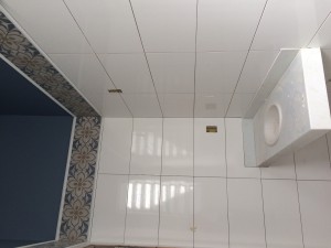 CASARÃO FLORIANO_03