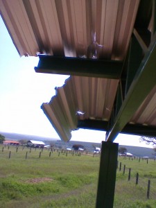 Foto0021