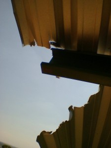Foto0022