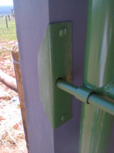 Foto0033