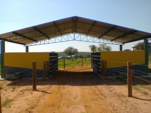 Foto0034