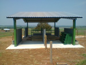 Foto0061