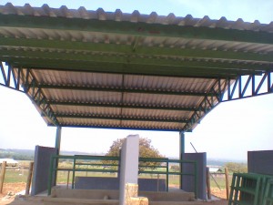 Foto0062