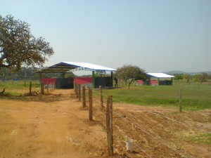 Foto0065