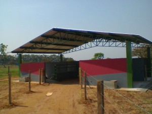 Foto0067