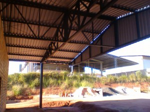 Foto0810