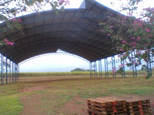 Foto0937